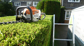 Lower Mainland Vancouver hedge trimming